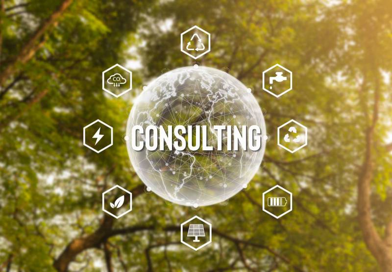Boréal Consulting