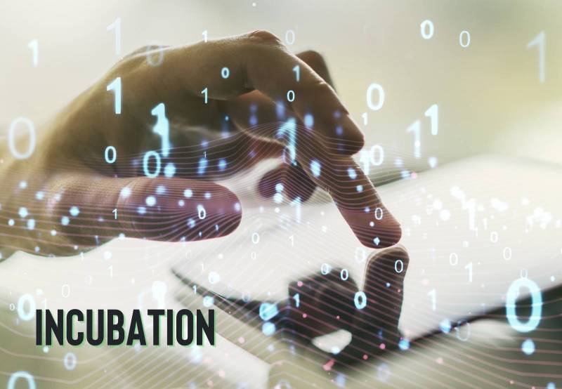 Boréal Incubateur des transitions environnementales et sociétales